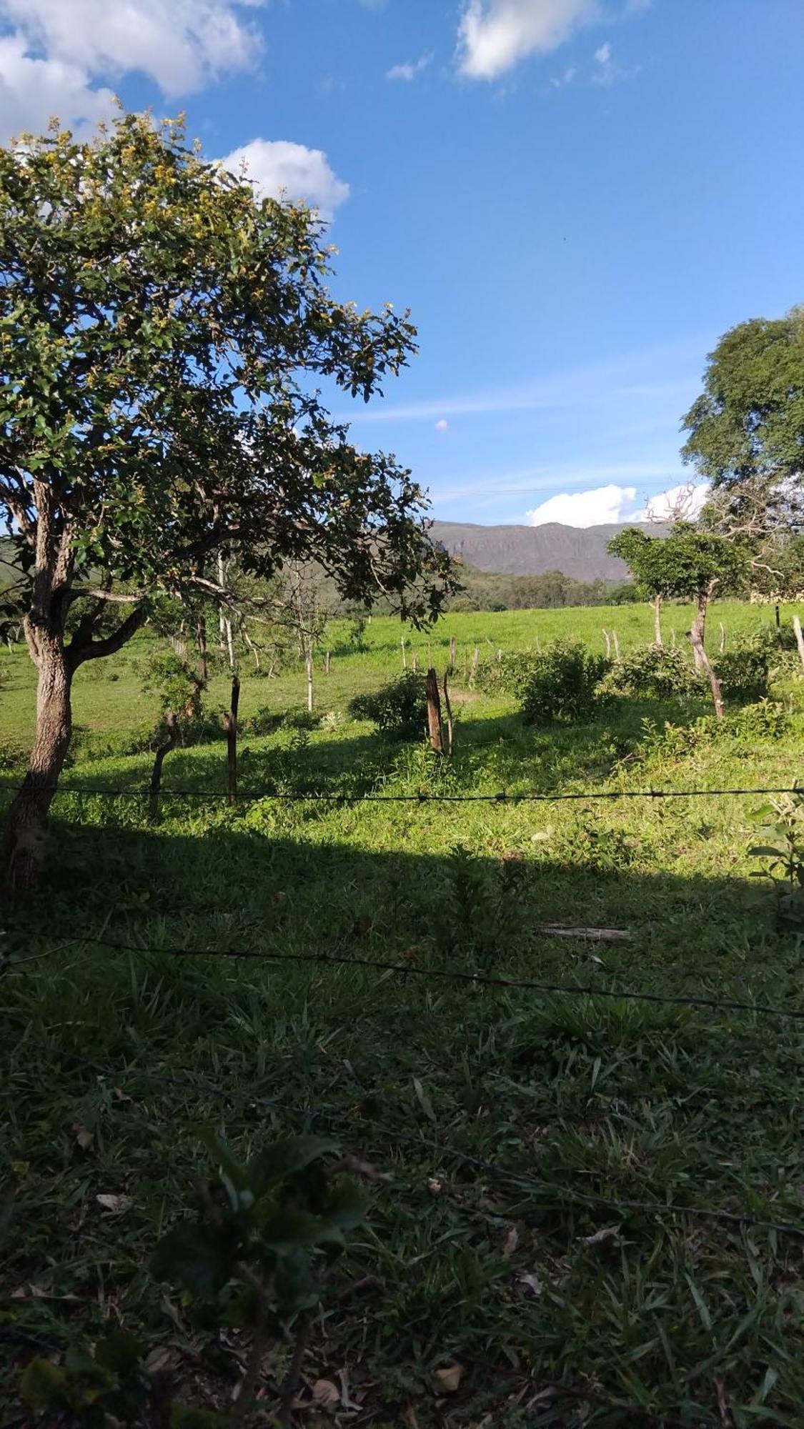 Quintal De Minas Alojamento de Turismo Selvagem