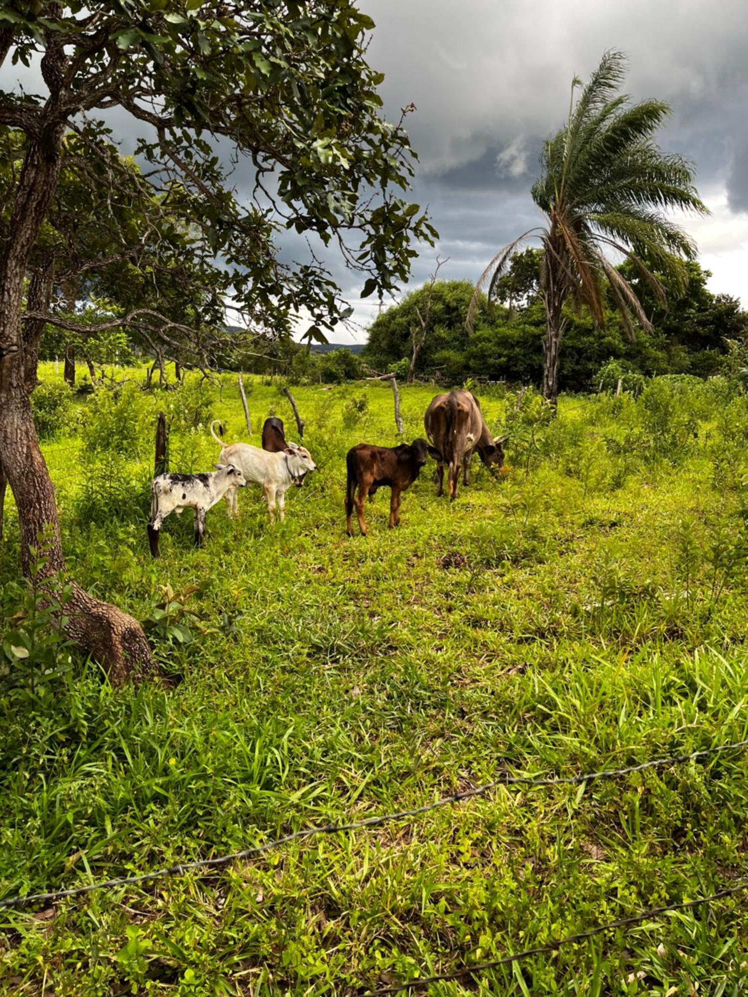 Lodge Quintal De Minas